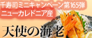 お客様感謝ミニキャンペーン