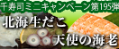 お客様感謝ミニキャンペーン